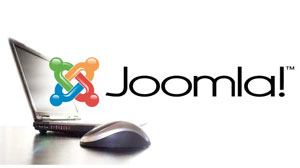 Joomla Website Support